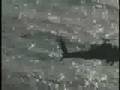 videos de AFN-Korea: Apaches deploy to Kunsan - Armed Forces Network Korea