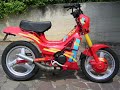 vespa scooter elaborati