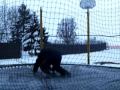 Backflip