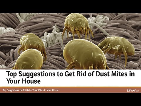 how to remove dust from room