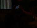 Racoon medley