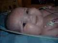 Daimon The Brave Nov. 5th  /03- Oct 9th /04