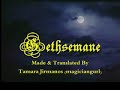 Gethsemane - The Olive Garden - Passion of the Christ