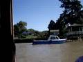 Viaje a las Islas del Tigre #3