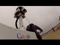 Google Maps goes to the Arctic community of Cambridge Bay