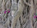 BOUDDHA 