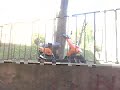 Piaggio Typhoon Racing Sound Piaggio Typhoon Racing Sound