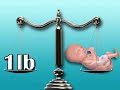 Your baby has now learned to sleep and wake on a schedule—although probably not one that syncs well with yours! For more information visit: Pregnancy.Healthguru.com