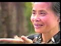 Hoa sua - Thanh Lam