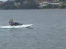 hobie trial