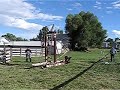 Click here to watch this video Spank Watermelon Trebuchet