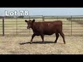 Lot 78 T366