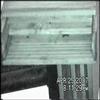 Bat House 042507