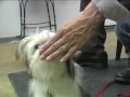 See video