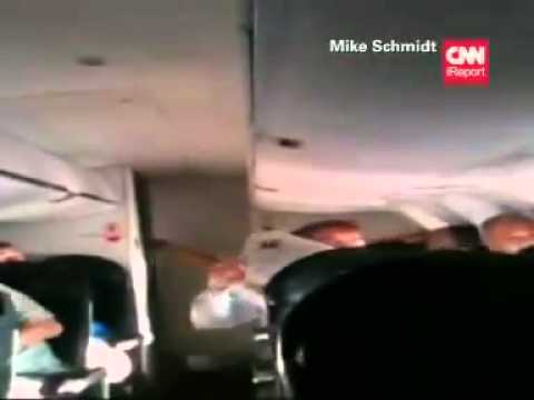 Bat On A Plane