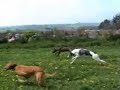 Lure Racing