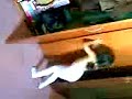 Locura Automatica