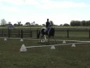 Sky and Hope at a Dressage Competition