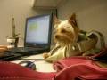 videos de twinks at wrk
