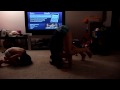 Noobie Break Dancing *FAIL*