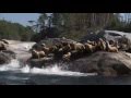 Vancouver Island North - Escape into Nature