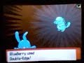 Pokemon wifi battle #18 vs. Evan (narrated)