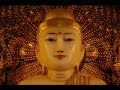 Buddha\ Buddha\