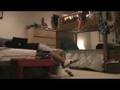 How to Prepare for the SAT in 45 seconds