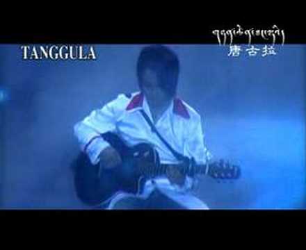 amdo video