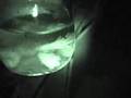 Proof that ghosts exist!!!