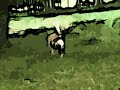 Rotoscopia Rotoscopia