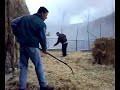 Spargimento di paglia...