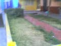 ( Bmx ) Street (!The Zone!) InStintO