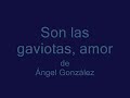 Son las gaviotas, amor (Ángel González).wmv