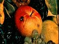 a video of the work of caravaggio. his dark and foreboding genius. the video was made with   trakaxpc , which is a free video and music editing software application. music: boards of canada - slow this bird down.