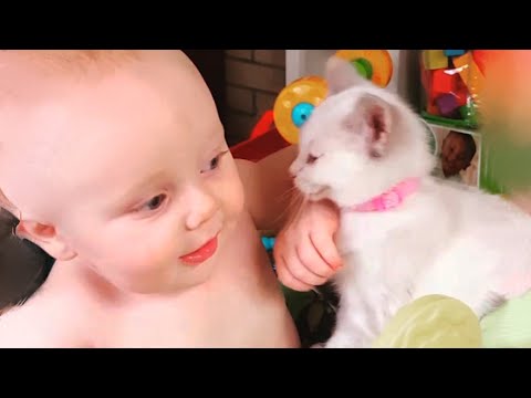 Baby and Cat Fun and Cute #11 - Funny Baby Video