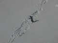 Off piste in Livingio