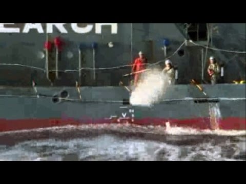 Japanese Whalers Shoot Themselves in the Face with Pepper Spray