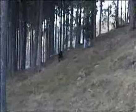 rott
