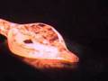 50lb Little Giant forging a leaf