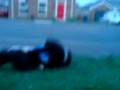 videos de Mark and John fighting....