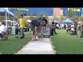 Torque warming up on the track -1st Annual Lo-Cal Bully Show
