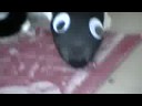 Chupacabra wants in the house