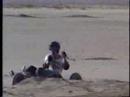 El Mirage Kite Buggy