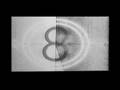 videos de Niurka