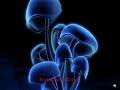 Top 5 Techno Songs