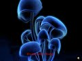 Top 5 Techno Songs