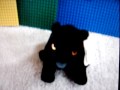 beanie baby wrestling beanie baby wrestling