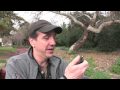 Sam Lloyd from Scrubs talks about his band: The Blanks