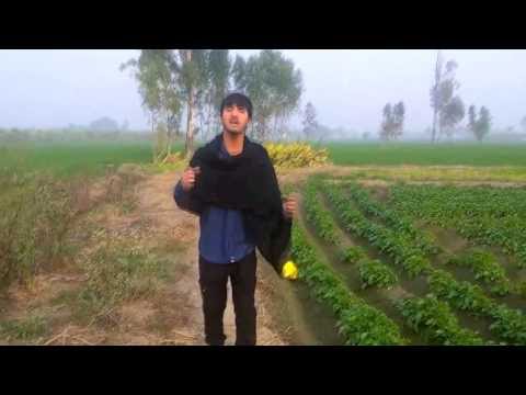 ja ni ja preet singh